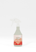 EdenCleen Urinal Cleaner Deodoriser Refillable Empty Spray Bottles 1x6