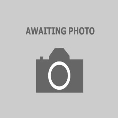 Wheelchair Safety Strap Wheelchair Safety Strap